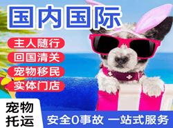 音布鲁克航空物流国际宠物托运 【国